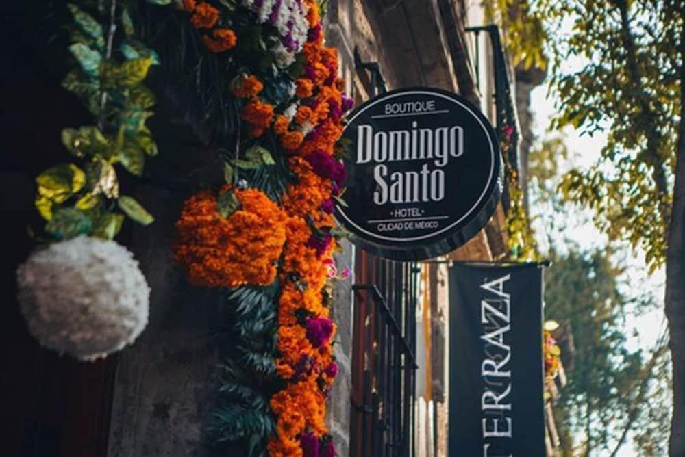 Domingo Santo Hotel Boutique (Adults Only) メキシコシティ エクステリア 写真